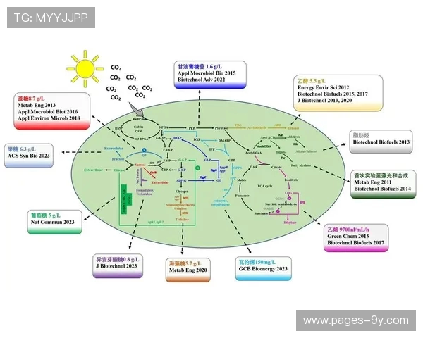 足球小队设计理念与构建策略探讨：打造高效协作与团队精神的核心框架